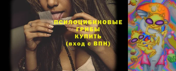 гашик Волосово