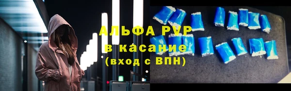 прущие грибы Волоколамск
