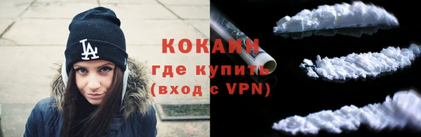 прущие грибы Волоколамск