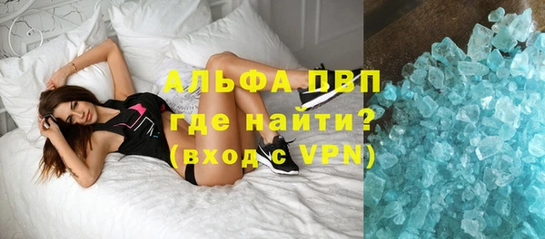 прущие грибы Волоколамск