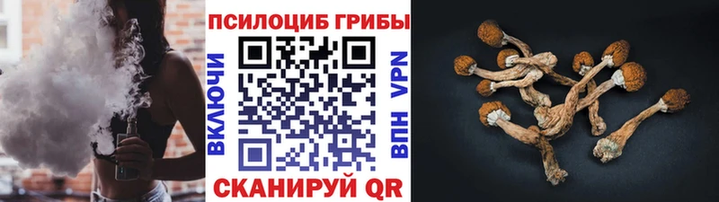 Галлюциногенные грибы Psilocybine cubensis  Калач-на-Дону 